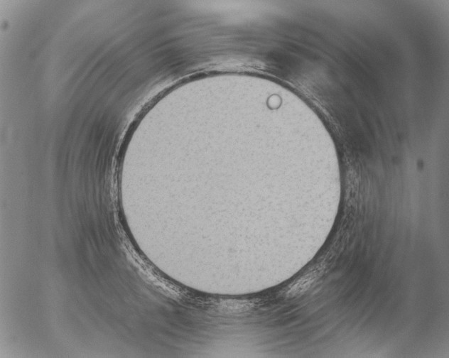 X0000053050848200508011846