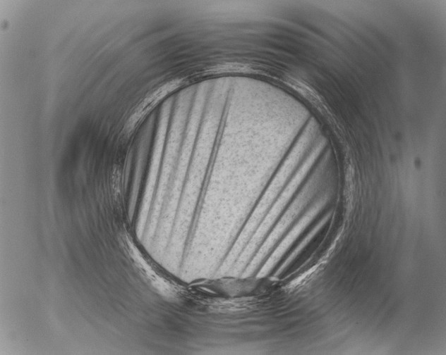 X0000053050849200508011846