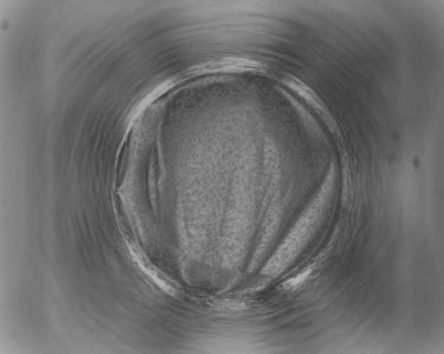 X0000053050850200508011846