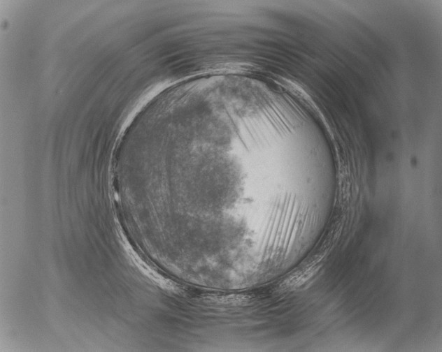 X0000053050851200508011846