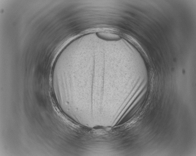 X0000053050852200508011846