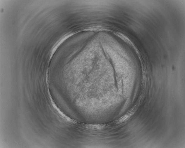 X0000053050855200508011846