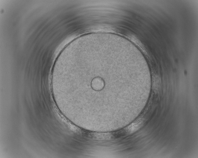 X0000053050856200508011846