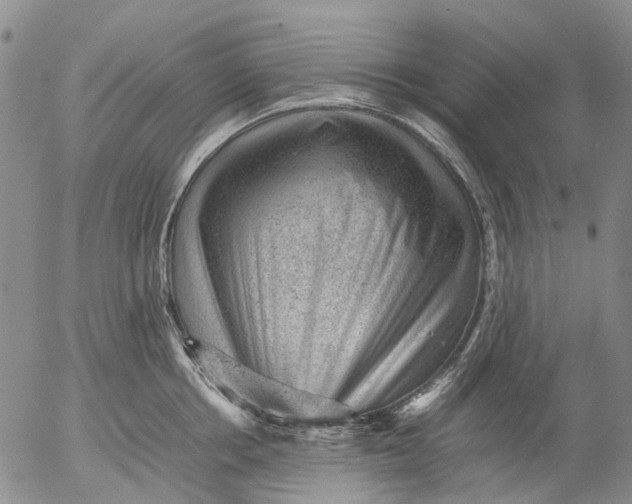 X0000053050858200508011846