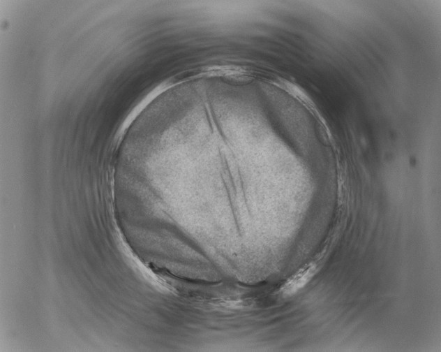 X0000053050859200508011846