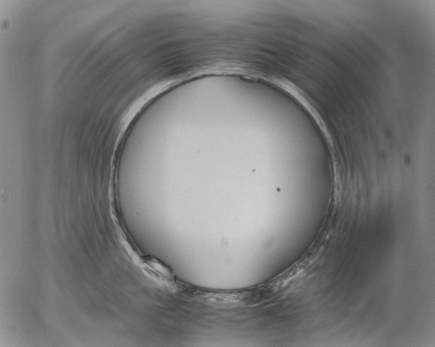 X0000053050861200508011846