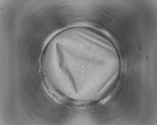 X0000053050862200508011846