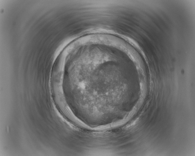 X0000053050863200508011846