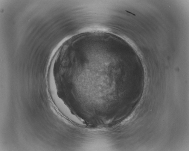 X0000053050864200508011846