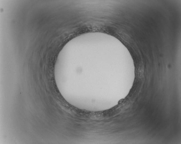 X0000053050865200508011845