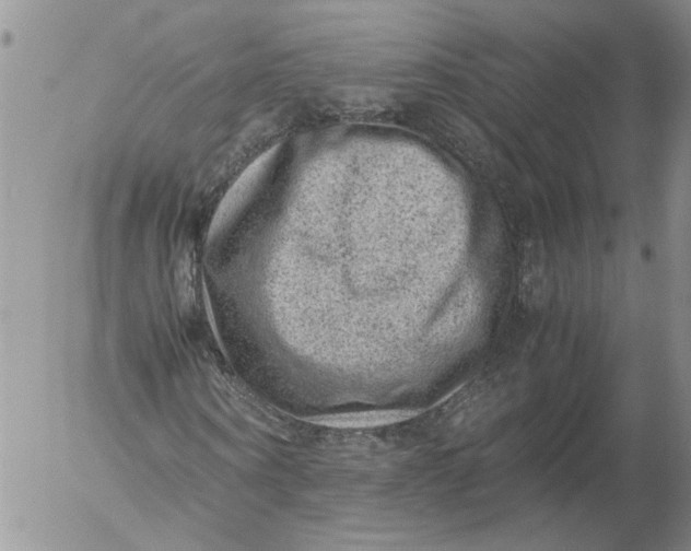 X0000053050866200508011845