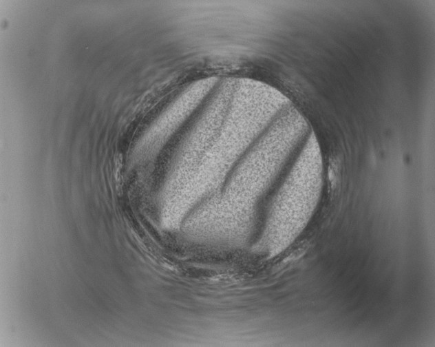 X0000053050867200508011845