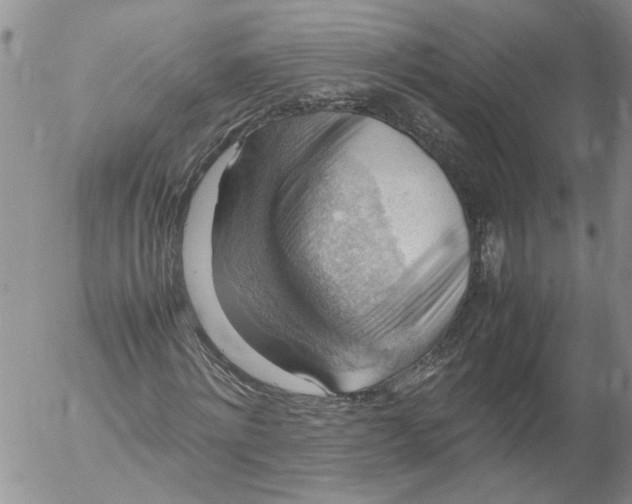 X0000053050868200508011845