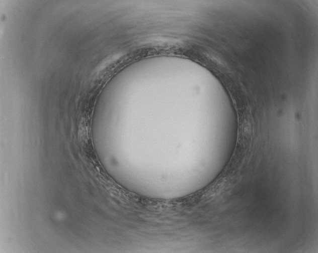 X0000053050869200508011845