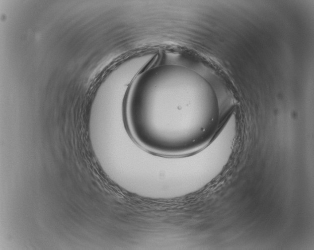 X0000053050871200508011845