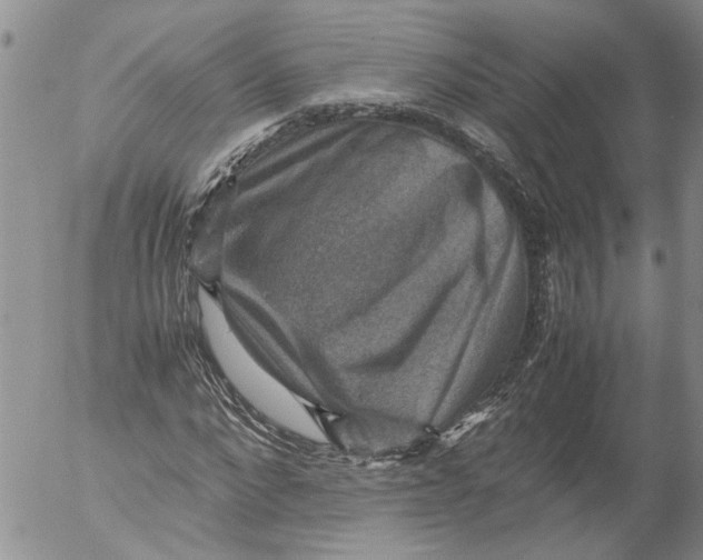 X0000053050872200508011845