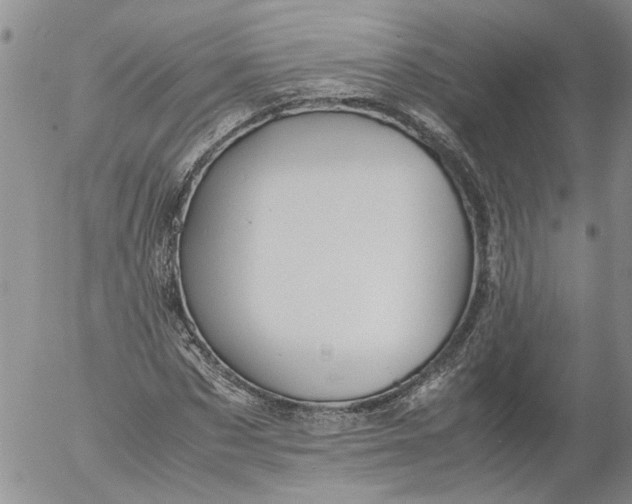 X0000053050873200508011845