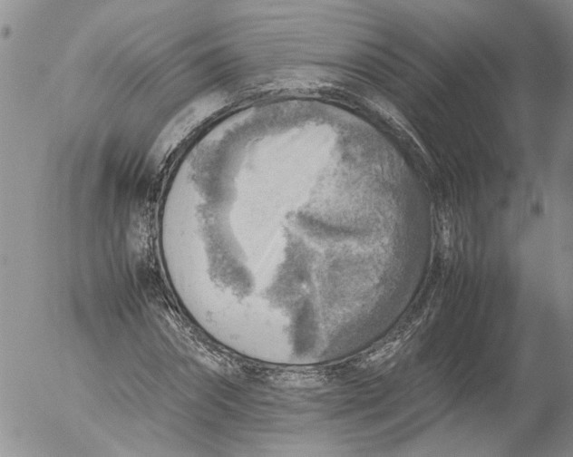 X0000053050874200508011845