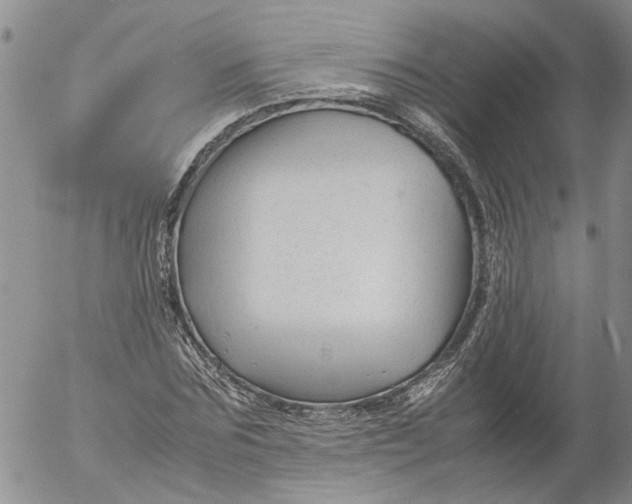 X0000053050875200508011845