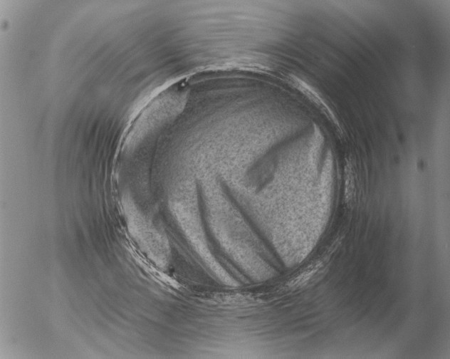 X0000053050876200508011845