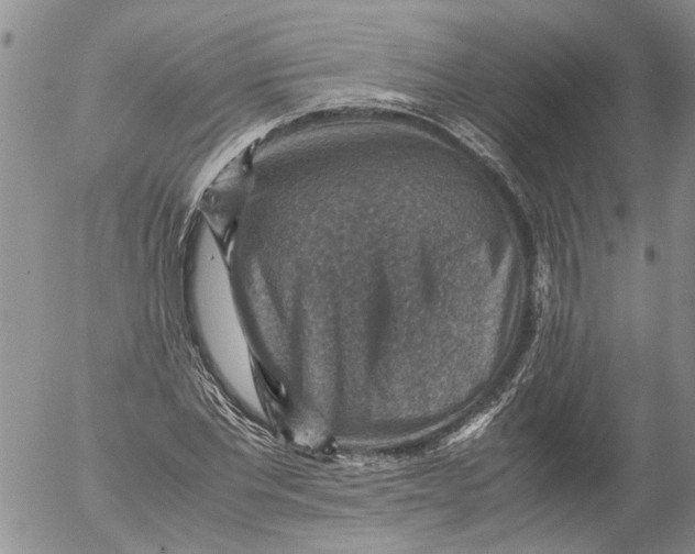 X0000053050877200508011845