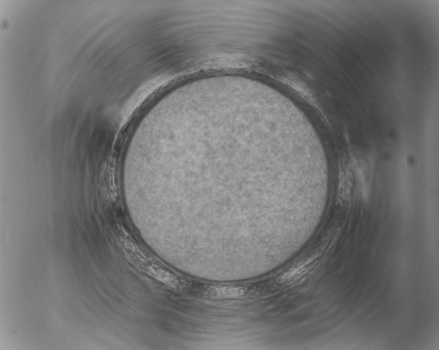 X0000053050878200508011845