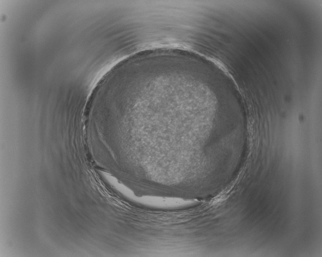 X0000053050879200508011845