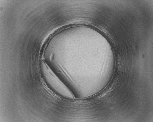 X0000053050880200508011845