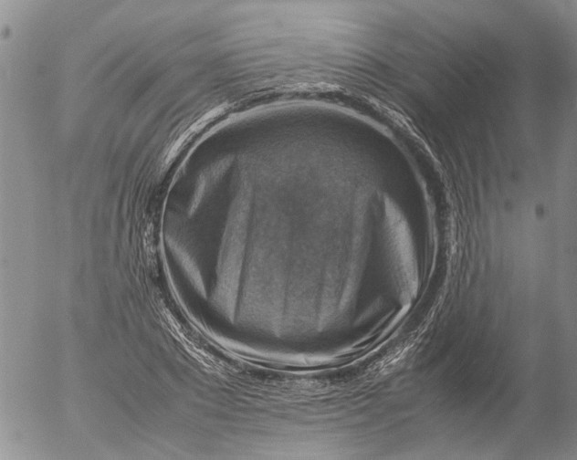 X0000053050881200508011845