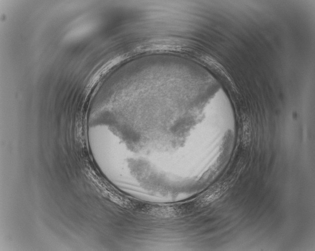 X0000053050882200508011845