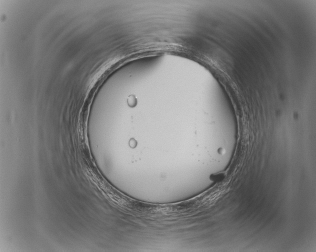 X0000053050883200508011845