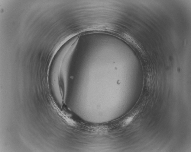 X0000053050884200508011845