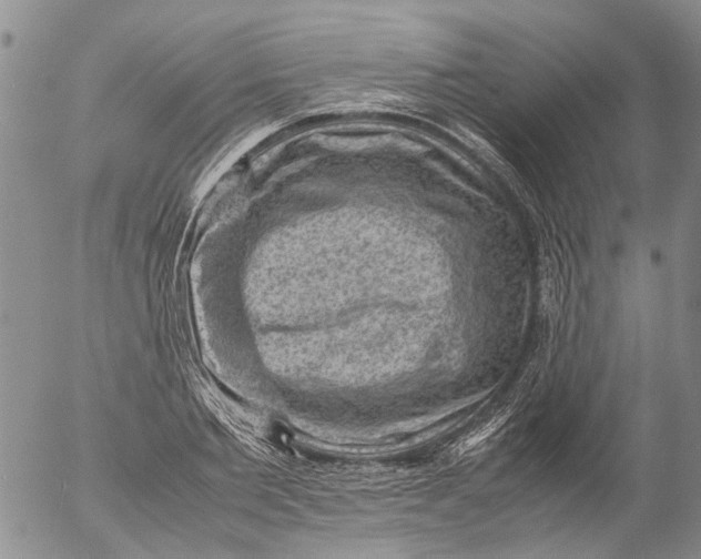 X0000053050885200508011845