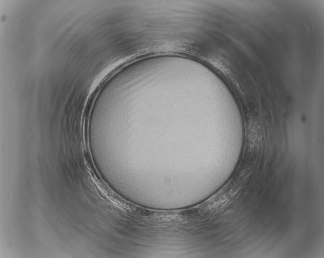 X0000053050886200508011845