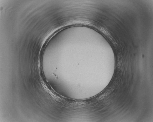 X0000053050888200508011845