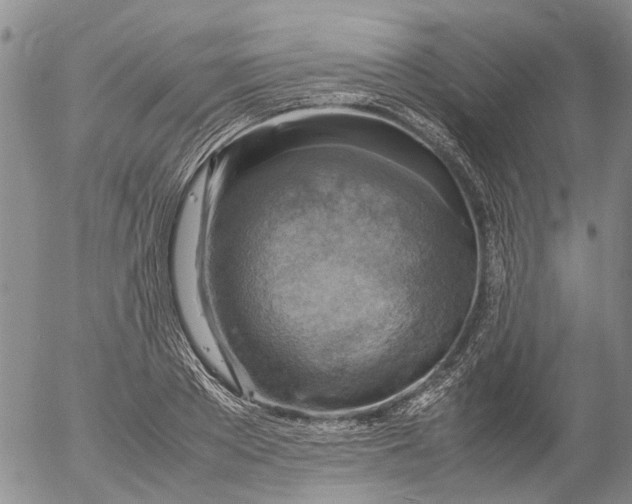 X0000053050889200508011845