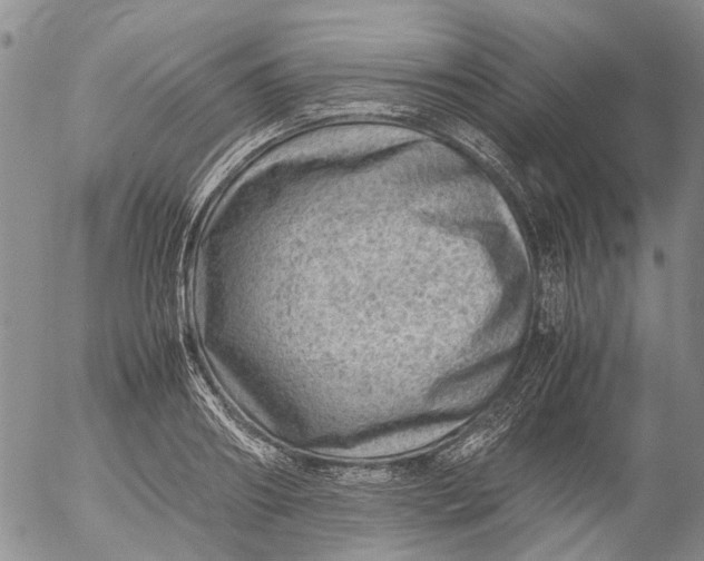 X0000053050890200508011845