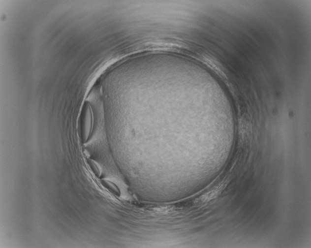 X0000053050891200508011845