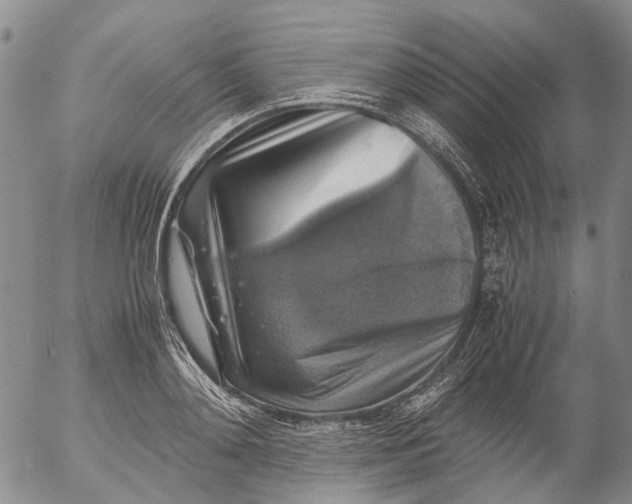 X0000053050892200508011845