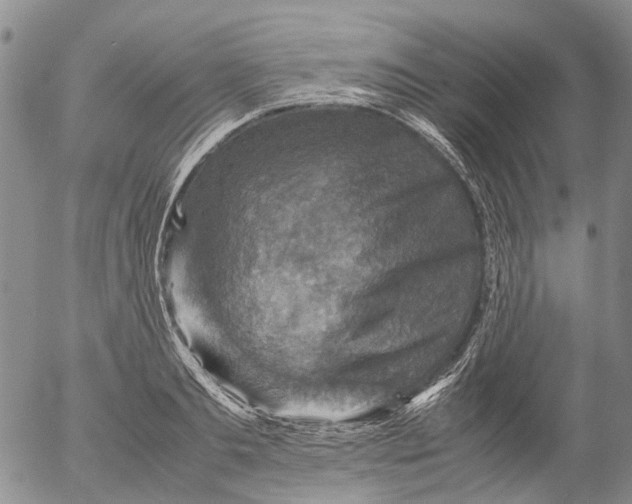 X0000053050893200508011845