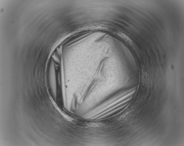 X0000053050894200508011845