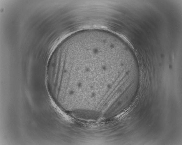 X0000053050895200508011845