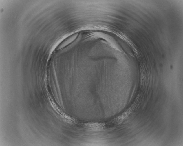 X0000053050896200508011845