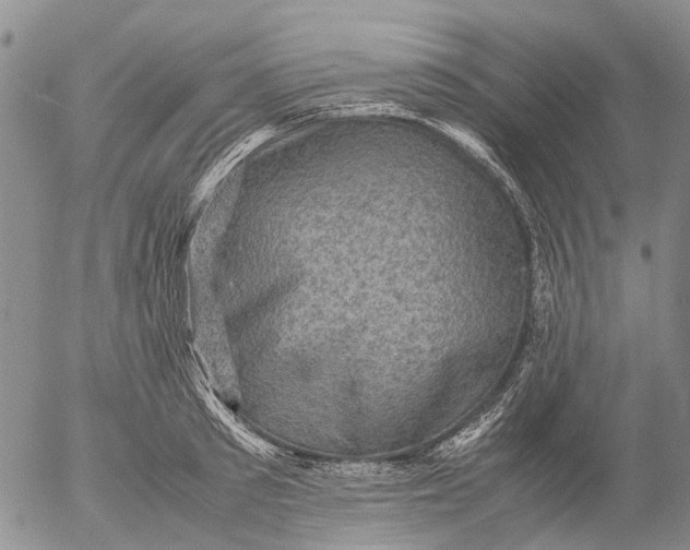 X0000053050897200508011845