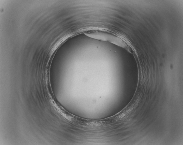 X0000053050898200508011845