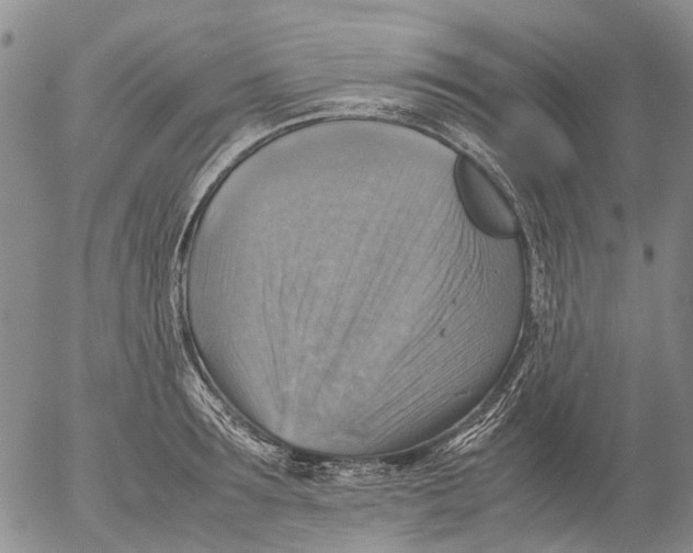 X0000053050899200508011845