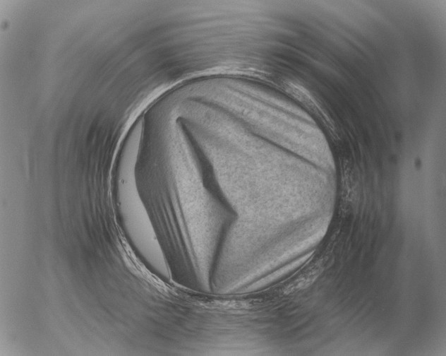 X0000053050900200508011845