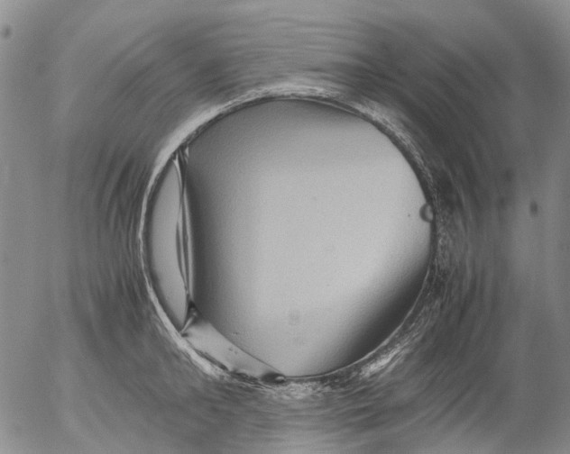 X0000053050902200508011845