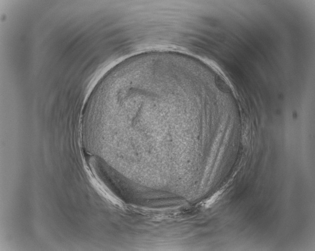 X0000053050903200508011845