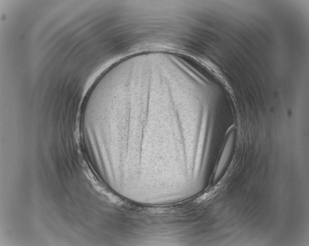 X0000053050904200508011845